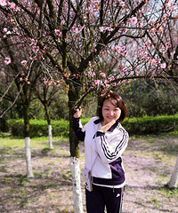 84���Ȱ������Т˳�������飬ϣ���Է��������ٺȾ�