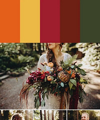 10���������������ɫ���������������õ��ϣ�