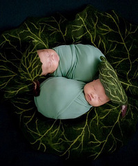 �����õ��۶����������գ�̫ϲ������