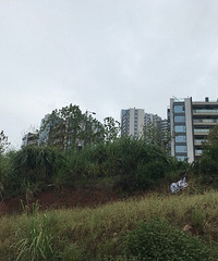 ���Ȫ�ķ���