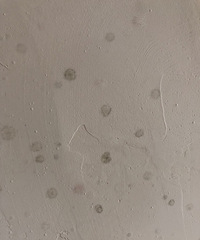 ������������ǽ������ù�㣬���ڸ���ô��