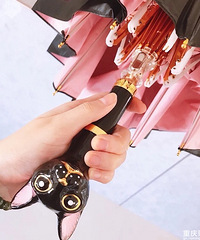 ֶǽµɡеƣͣѷɫɡֵر