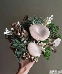 С��Ϻ�����������빽���������������������Ի���������������