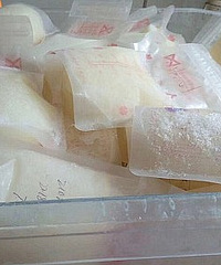 ޴һ̣׼ȥϰˣûпٻ̵ķ