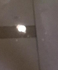 隔壁邻居长期让狗在楼道撒尿