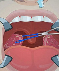 ֱ챻ˣ޶徭ŧգÿ¶Ҫһ