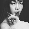 居然被猫咪抢了镜