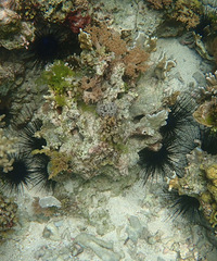 ˣ+ɵ̨硰ɽ񡱹гȡ