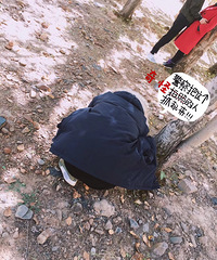 �Ϲ������ռ�������ר�ż�����͵͵���˸��˺ż�¼�����߹��ĵط�