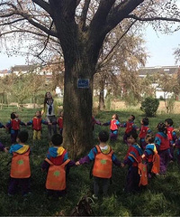 ֧ѧУ֯˵ںܶѧУ۸񻹲