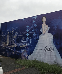 很多人都在谈论蔡家的红星美凯龙,原来真相是这样!