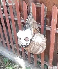 Ӥװڽͷ๤ΪˣﻹУ