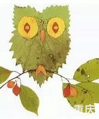 ˣ׶԰ҵҶҪʼˣЩزպ