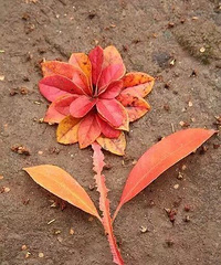 ˣ׶԰ҵҶҪʼˣЩزպ