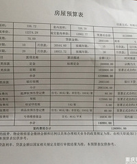 龙湖九里晴川一期工地开放日