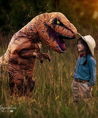 ������Ա�֢������������İ�������װ������������������Ƭ