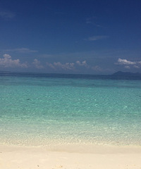 �ɱ��������Ρ���¡��wanghong�ش�