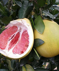 gϪ19.9Ԫ𣡻̨̩֡ĵ