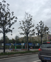 如非亲眼所见,定难相信——复兴、水土、仙桃数据谷见闻