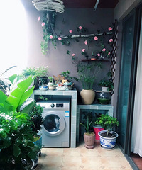 ֲֻһְãΰ͹޶Ҳֻ