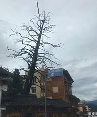 真正说走就走的旅行,去哪都不晓得我就出发了+【川西