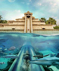 10ӾƵֱ꣬ǴеľĿĵأֵô