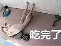 在家里装监控后发现…