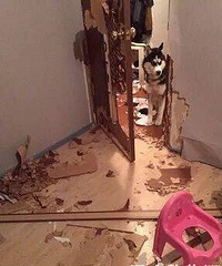 ЦޣεĶȻ˺ѧǵȫҵ..