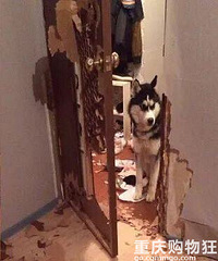 ЦޣεĶȻ˺ѧǵȫҵ..