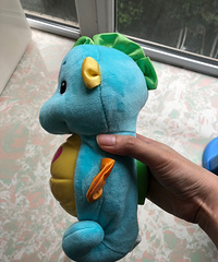 全新费雪小海马