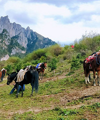 ޻𳵼ԼݴʥϣŨĲشĻɫļ