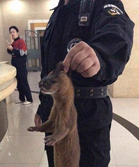 ϡˣŽһ⾪ֻǣҲڴ֣