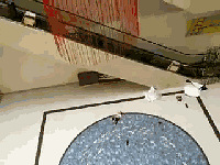 磡ϲһ̳ͯ¥ˤ£޹̳һҪעЩ