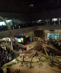 ˣζƳǣ˿ݣڟѧϰ˹ŷ