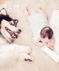 ����������ҵ���Ը�����ϱ����͹�������һ�׳��а����ȳ��ȱ���