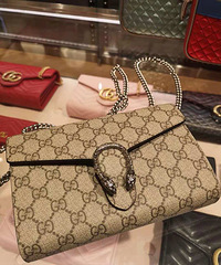 �Ǽ�ǰ�ڹ�������˵İ�������һֻGUCCI���û���