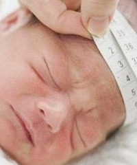 ģ޶˻12ض꣬жȱ