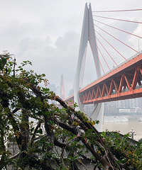 Ƽϱ·ϵ·ߣźϽ򿨸зΧ