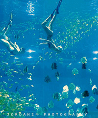 ޴򿨺԰߿ѧϰ֪ʶ˶˹ˮ°