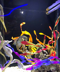 ޴򿨺԰߿ѧϰ֪ʶ˶˹ˮ°