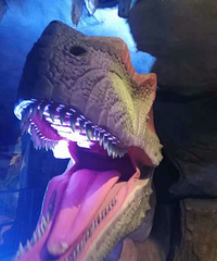 ԰ֵô޴򿨣к糡޶òͣĹ