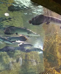 ԰ֵô޴򿨣к糡޶òͣĹ