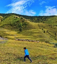 ˫̥Լݺݹܴس̻¶ëѩ