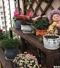 ԰��С�׵��ݶ���԰��԰�ɳ���