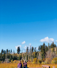 �ܿ���Ⱥ�����ⴳ�����ô������Ķ��죬800�������������ë��