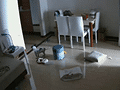 狗子独自在家“摆阵”