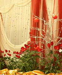 �����ֳ���ĸӦע��ʲô���ڻ����ֳ���ĸ��Ҫ��ʲô��