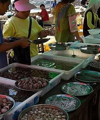 һλܽʳϴȫÿʵõղغã