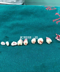 5кﾹȻ9ݣ­ڰﻹͷ