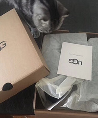 ͿϵëëЬӣůͻͬӴ